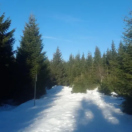 Prázdninový dům - černá Hora Ii *